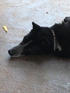 4E2D3736-2C60-4EB2-B4C6-D967FD4905F6