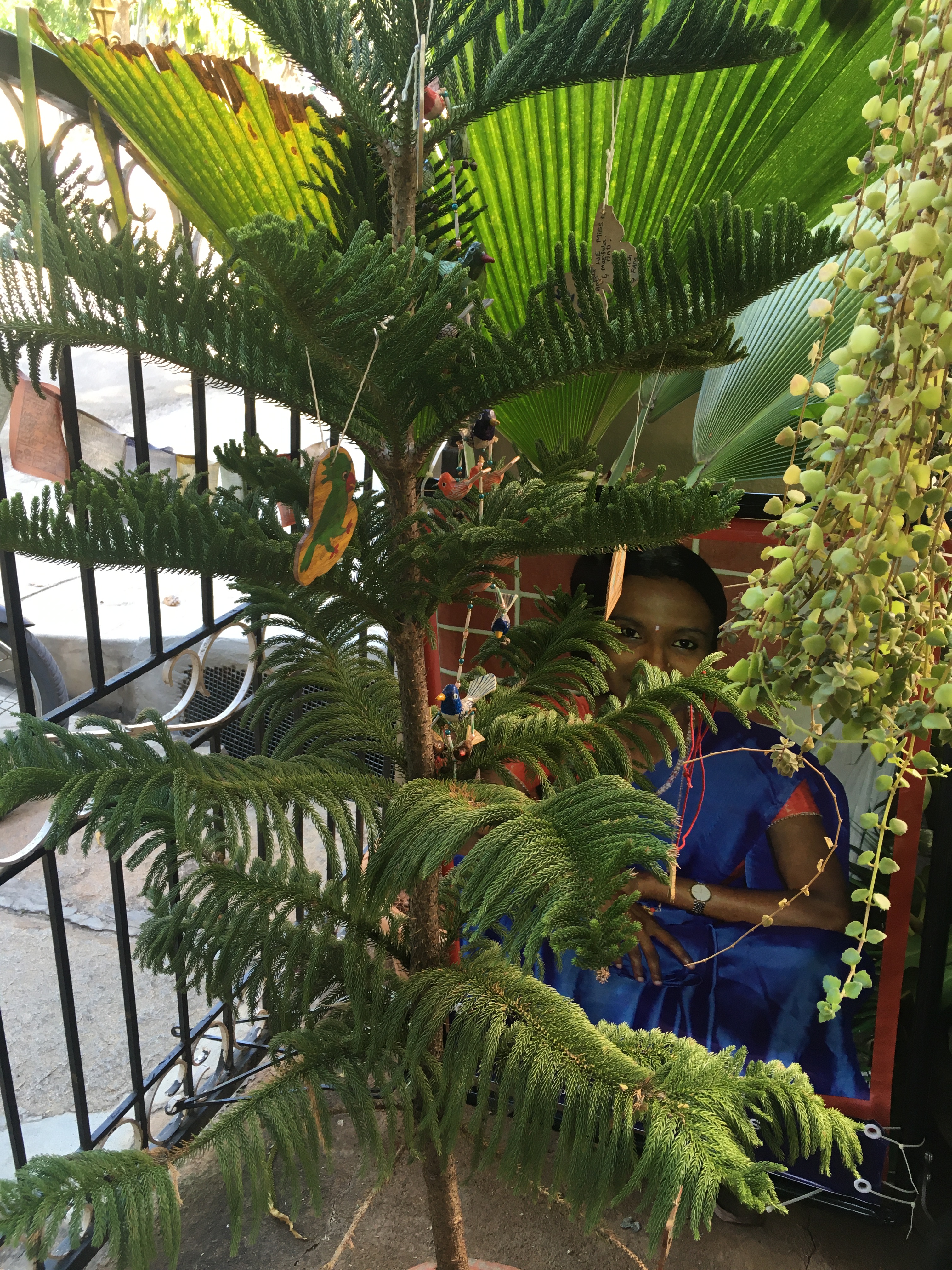 508581F3-B11A-430F-807F-0AE934C4F14A